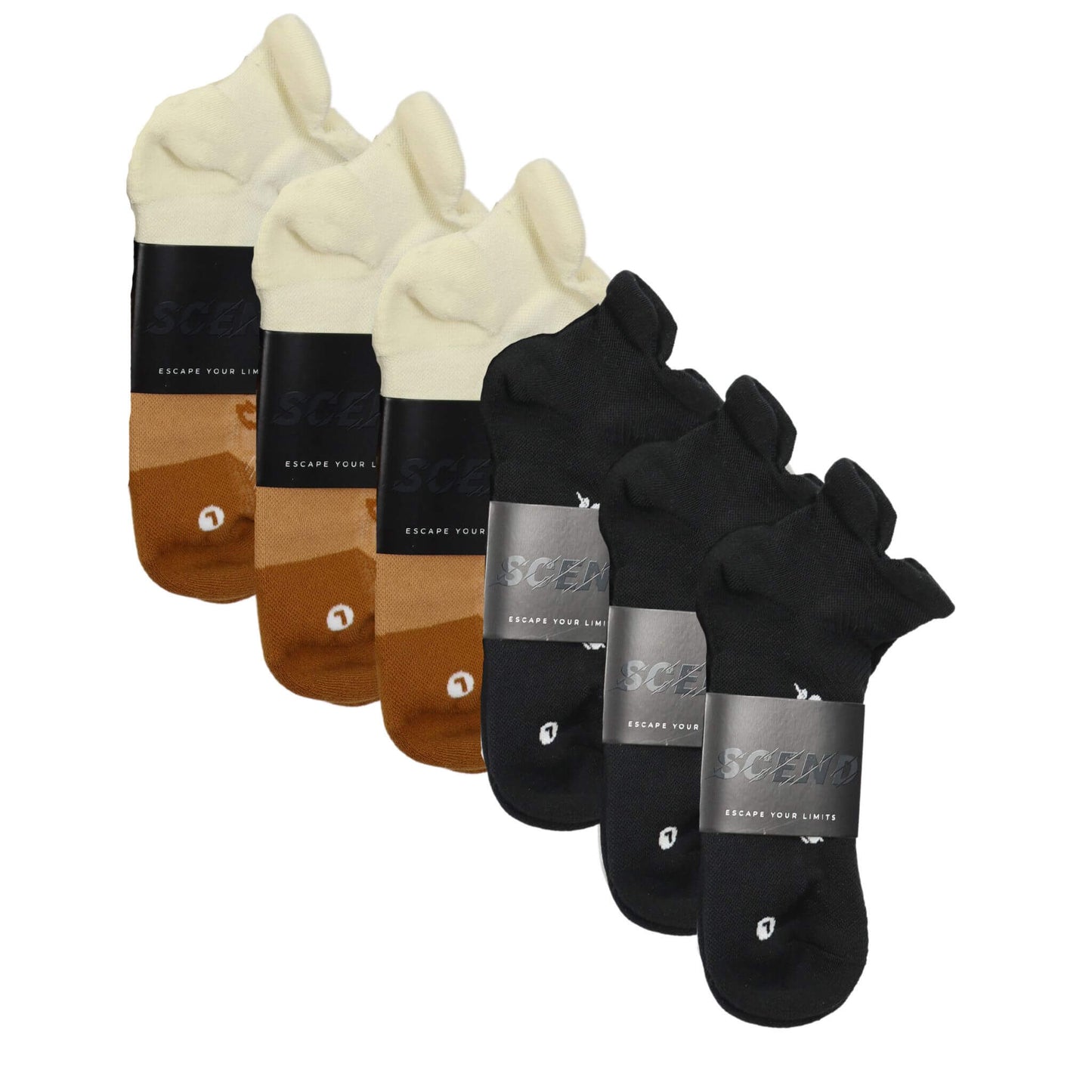 Black and Tan Cushion Socks | Pack of 6